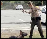 k9